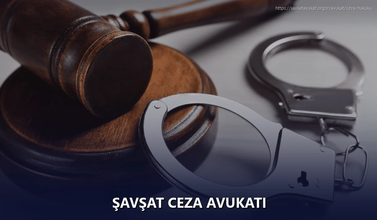 Şavşat Ceza Avukatı